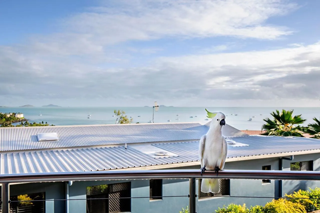 Lodge Toscana Village Resort Airlie Beach Australien
